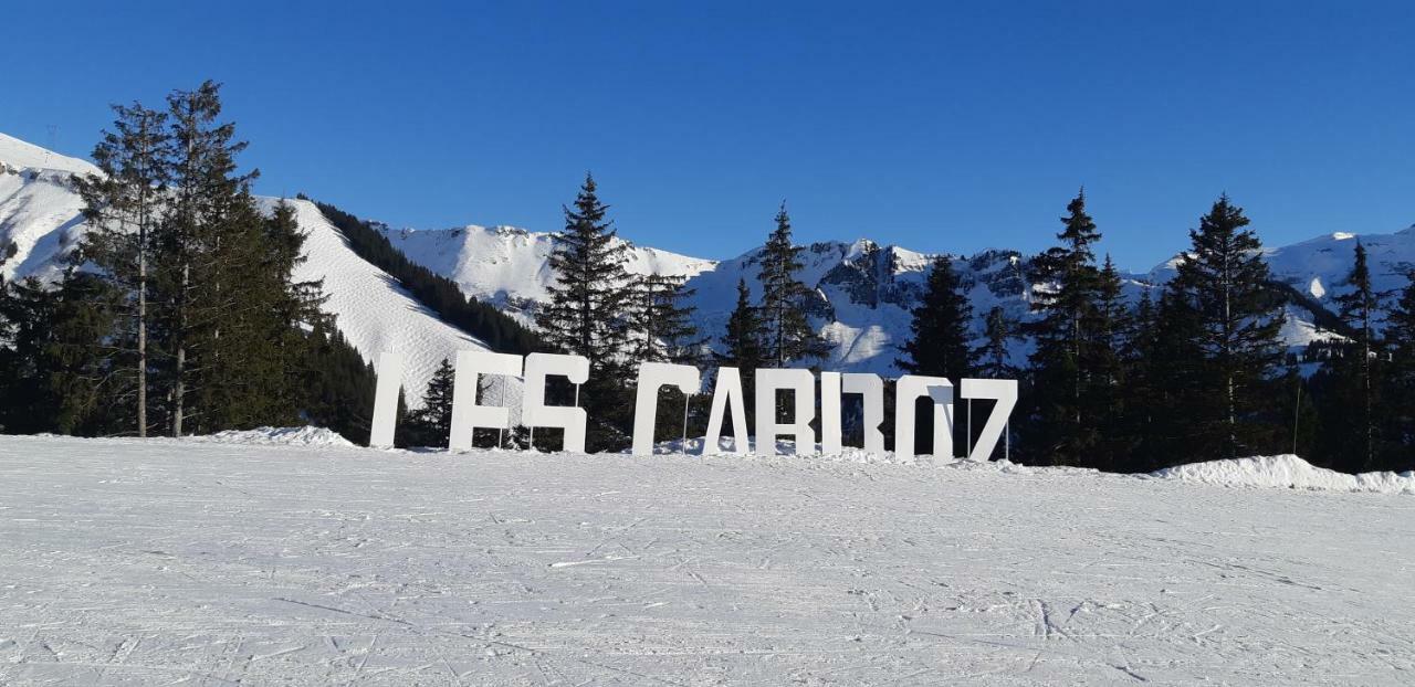 Grand Studio Les Carroz d'Araches Eksteriør bilde